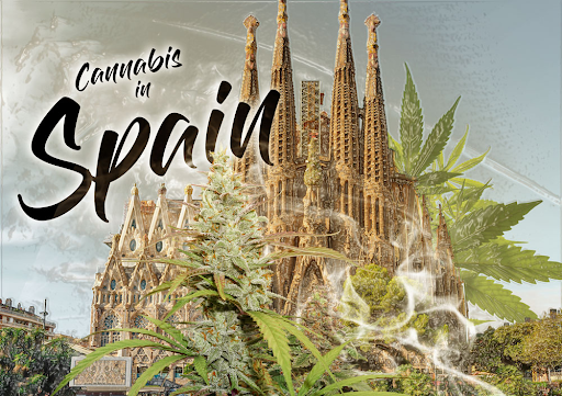 is weed legal in Spain?