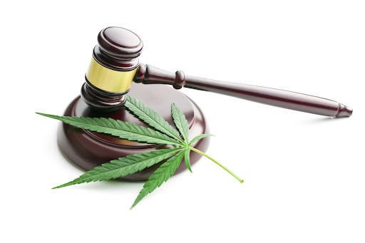 cannabis laws