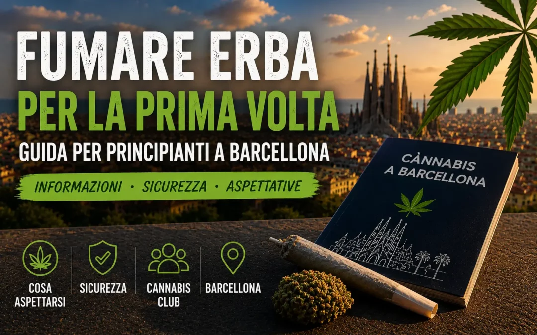 Fumare erba per la prima volta a Barcellona: guida per principianti su cannabis, effetti, sicurezza e cannabis club.