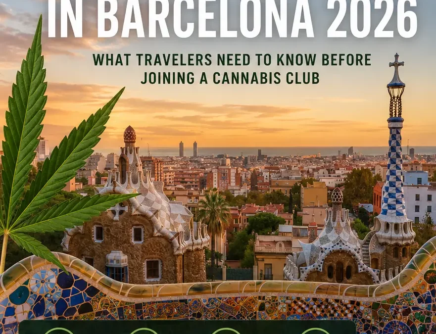 Cannabis Tourism in Barcelona 2026: What Travelers Need to Know Before Joining a Cannabis Club