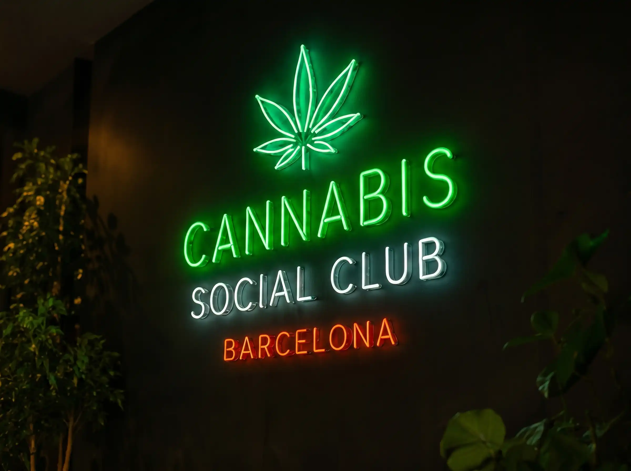 Asociación privada de cannabis en Barcelona
